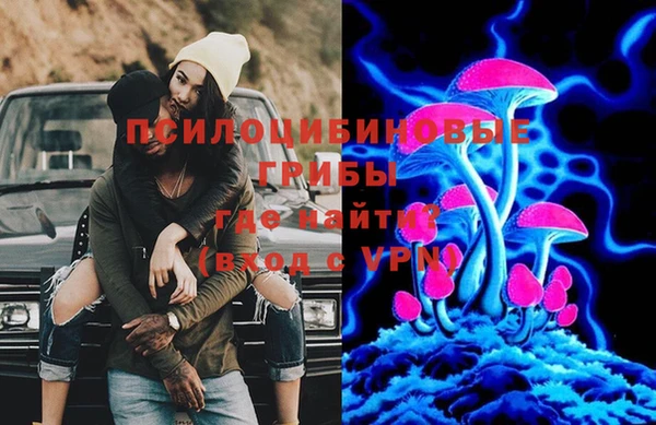 молекула духа Новокубанск