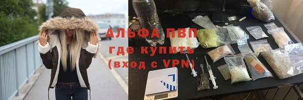 таблы Новозыбков