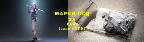 таблы Новозыбков