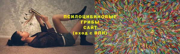 молекула духа Новокубанск