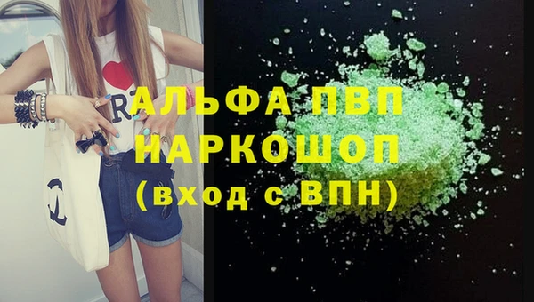 крисы Новодвинск