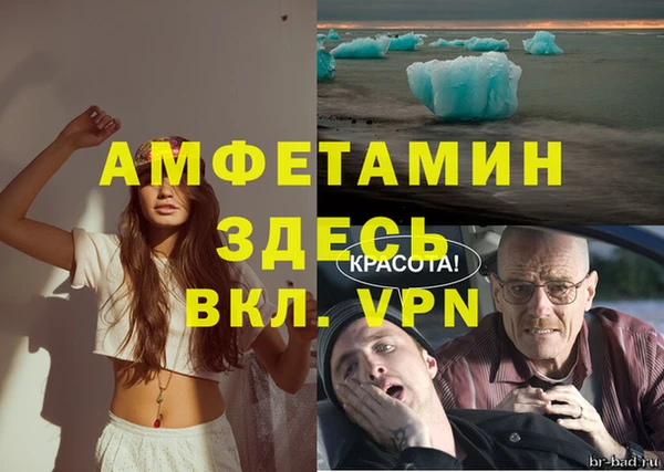 таблы Новозыбков