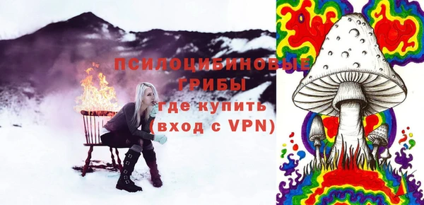 молекула духа Новокубанск