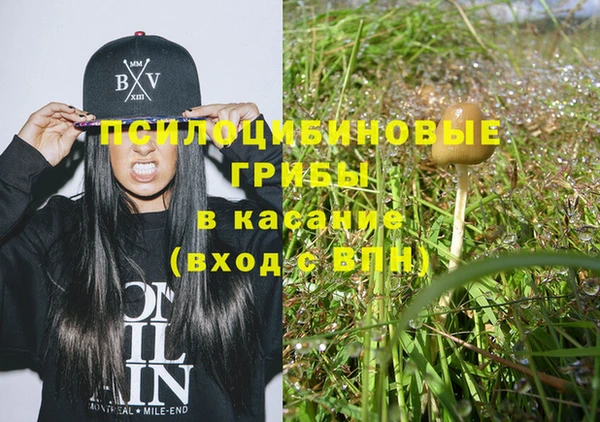 крисы Новодвинск