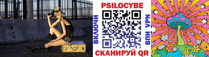 цена   маркетплейс официальный сайт  МЕГА как зайти  Псилоцибиновые грибы Magic Shrooms  Поворино 